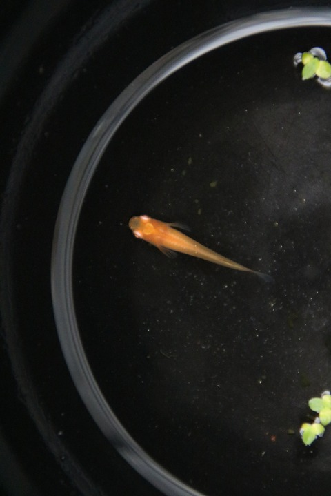 20180109142526_IMG_2663