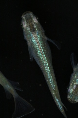 20211116112021_1V5A2663