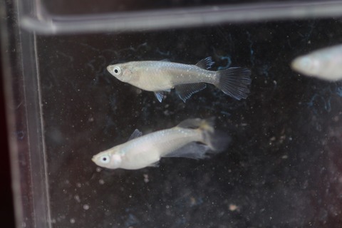 20190829120514_1V5A9601