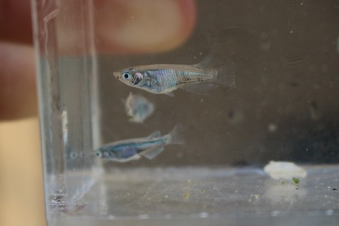 20180730180732_IMG_7665