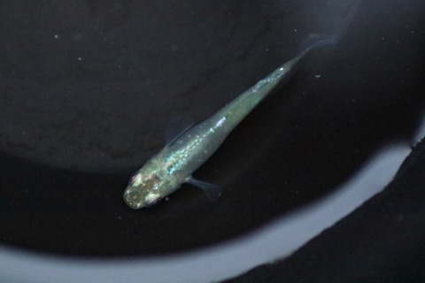 20200225170936_1V5A8199