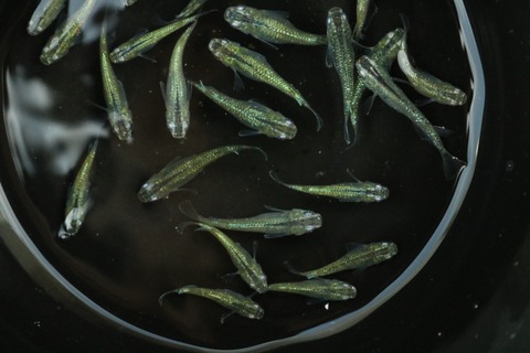 20180713100602_IMG_7016