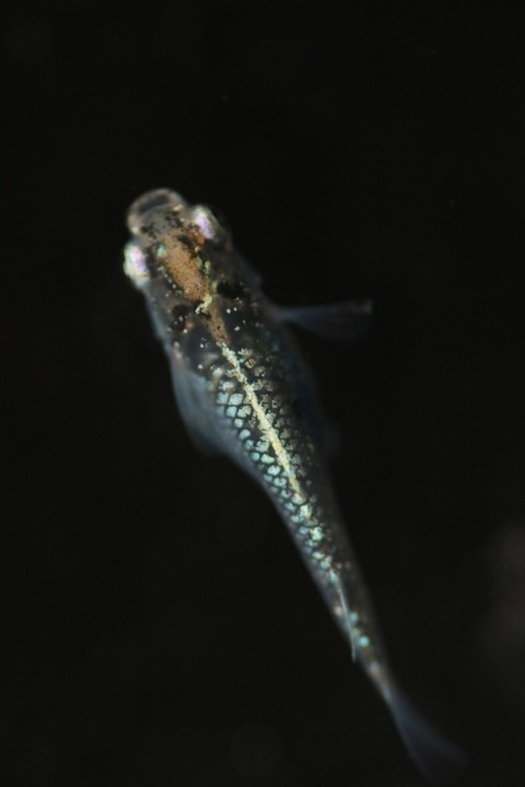 20190323110814_IMG_5241