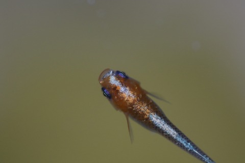 20191013104728_1V5A1622