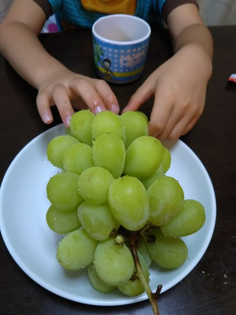 [画像:c51e5267-s.jpg]