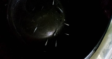 IMG_20210103_103712_651