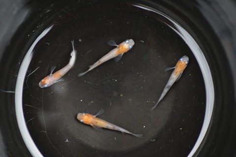 20190715121604_1V5A7527