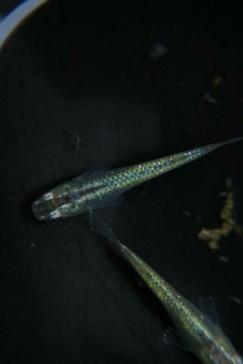 IMG_20180121_065232_893