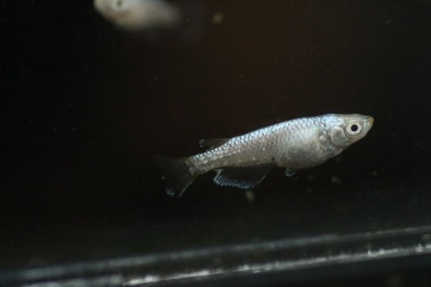 20190404181354_IMG_5793