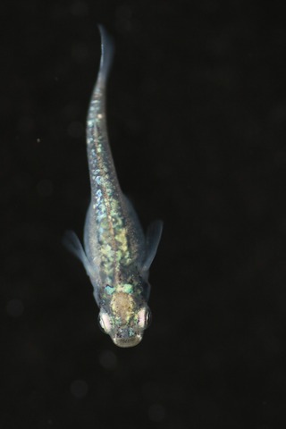 20190323110824_IMG_5243