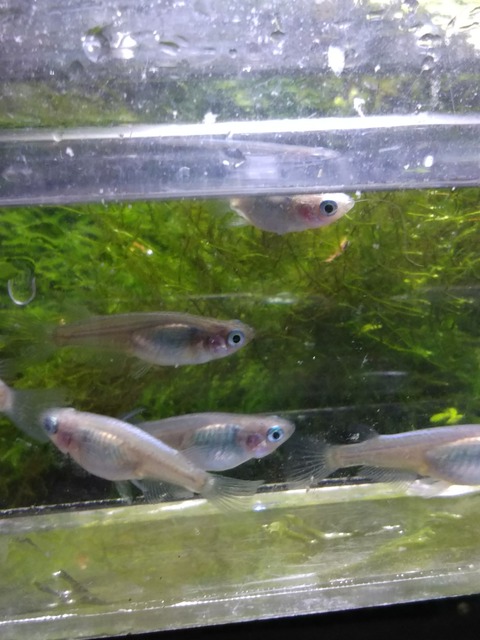 [画像:c66a37cc-s.jpg]