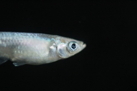 20200907155049_IMG_3283