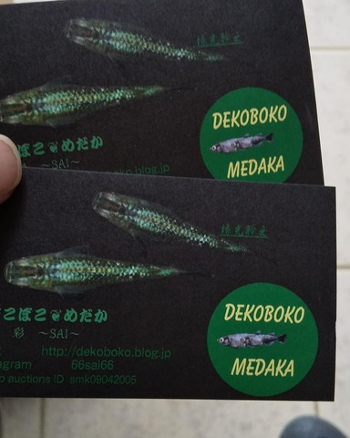 IMG_20191010_102710_296