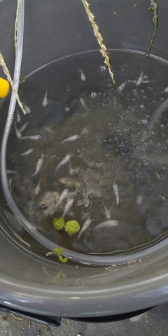 Capture_200912_102024_20200915_080059