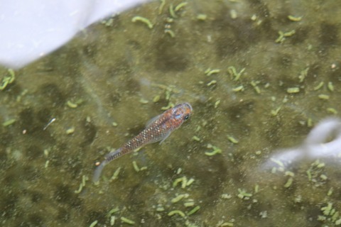 20180319103517_IMG_3989