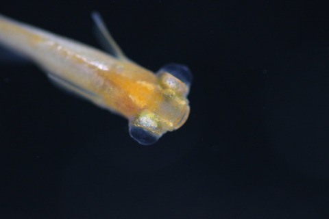 20191006102352_1V5A1544