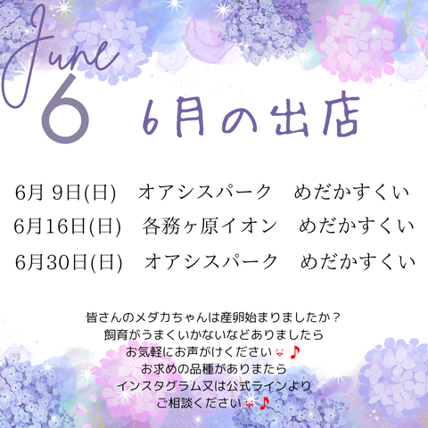 紫　白　シンプル　紫陽花　6月のお知らせ　Instagram投稿_20240523_092726_0000
