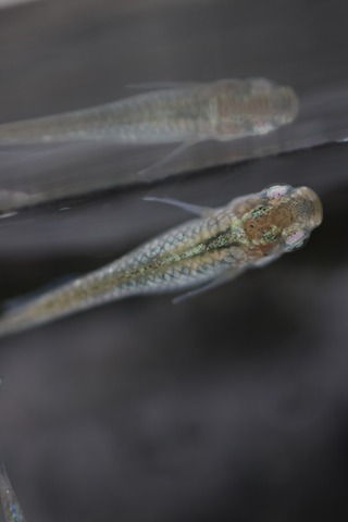 20200124113455_IMG_9751