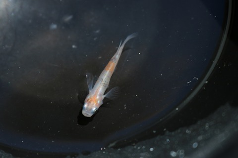 20180524094611_IMG_5919