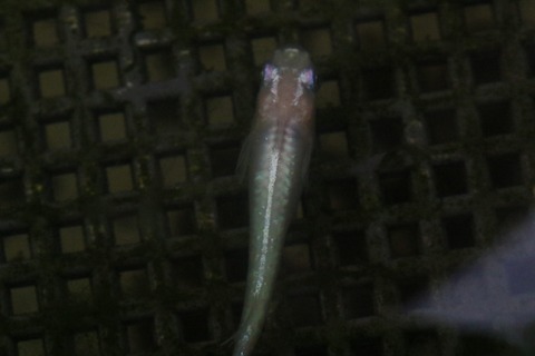 20210227102501_1V5A9943