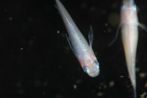 20200211162307_IMG_9857