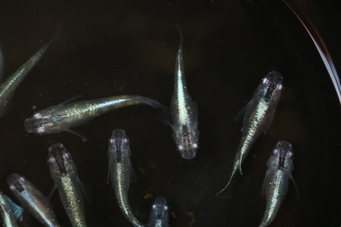 20180720122927_IMG_7171