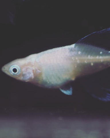 IMG_20200225_111416_025