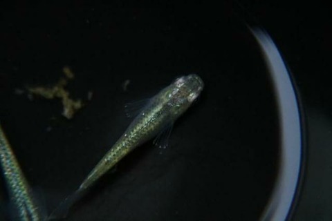 IMG_20180121_065244_784