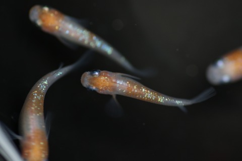 20190727114245_1V5A7888