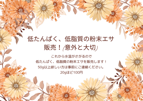 オレンジ　茶　水彩　花　thank you　ポストカードのコピー_20251023_161931_0000