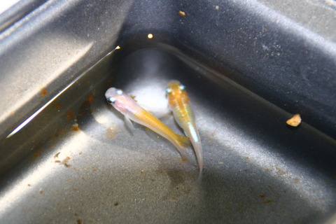 20150203134120_IMG_0317