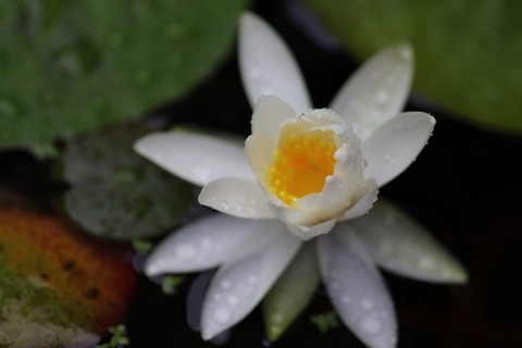 20190630095636_1V5A6903