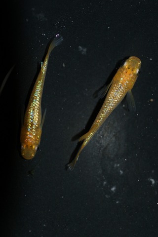 20220923174911_1V5A4393