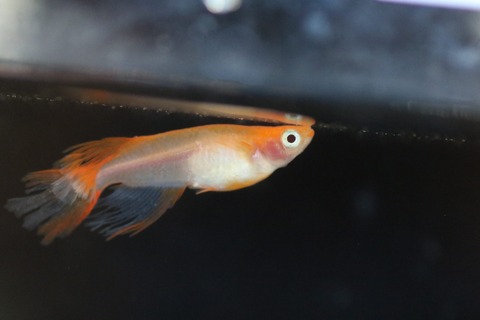 20191006103513_1V5A1560