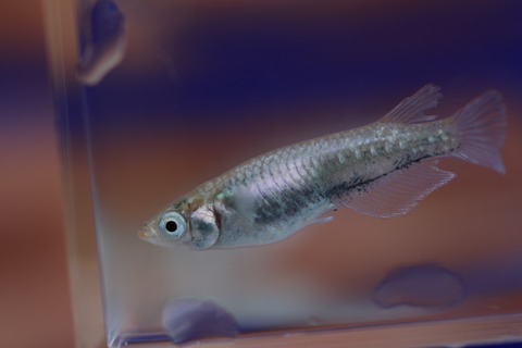 20200124113805_IMG_9760