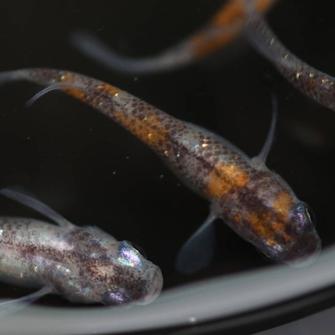 IMG_20200306_181935_372