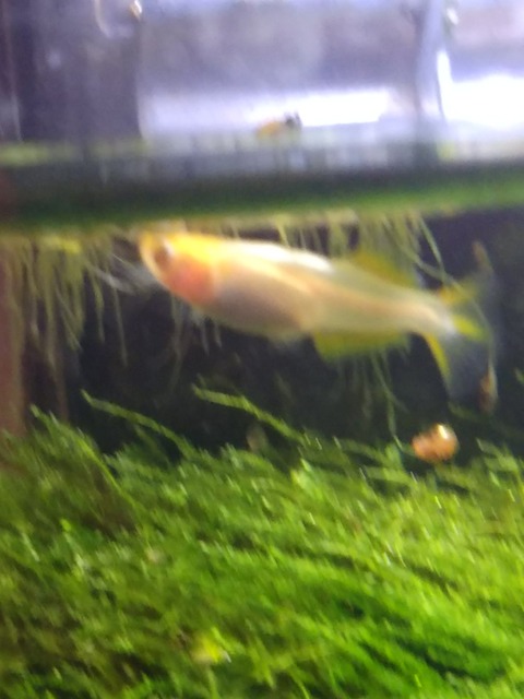 [画像:d5ca06be-s.jpg]