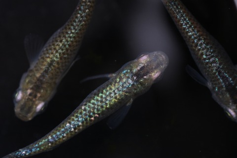 20200219151155_IMG_9989