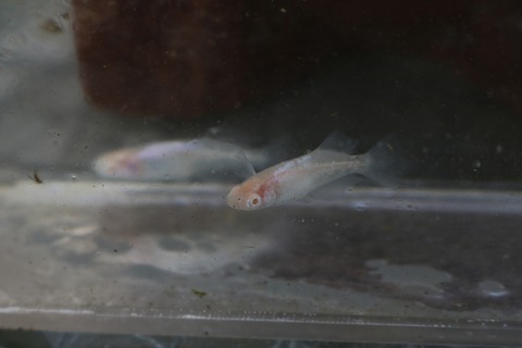 20180222143408_IMG_3504