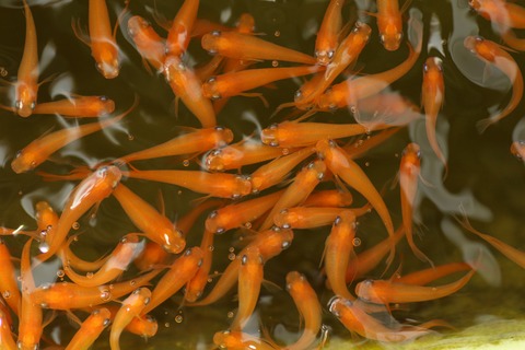 20190802105223_1V5A8341