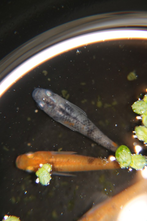 20180109143600_IMG_2677