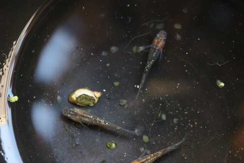 20180323173250_IMG_4074