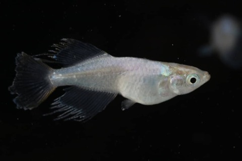 IMG_20200731_072044_185