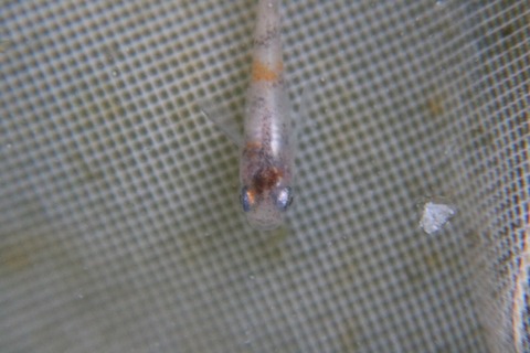 20180314175118_IMG_3862