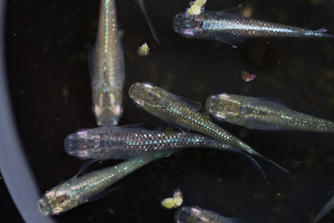 20200219142133_IMG_9938