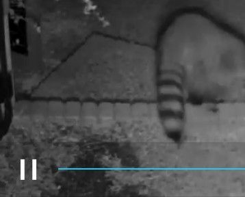 [画像:dfa935ed.jpg]