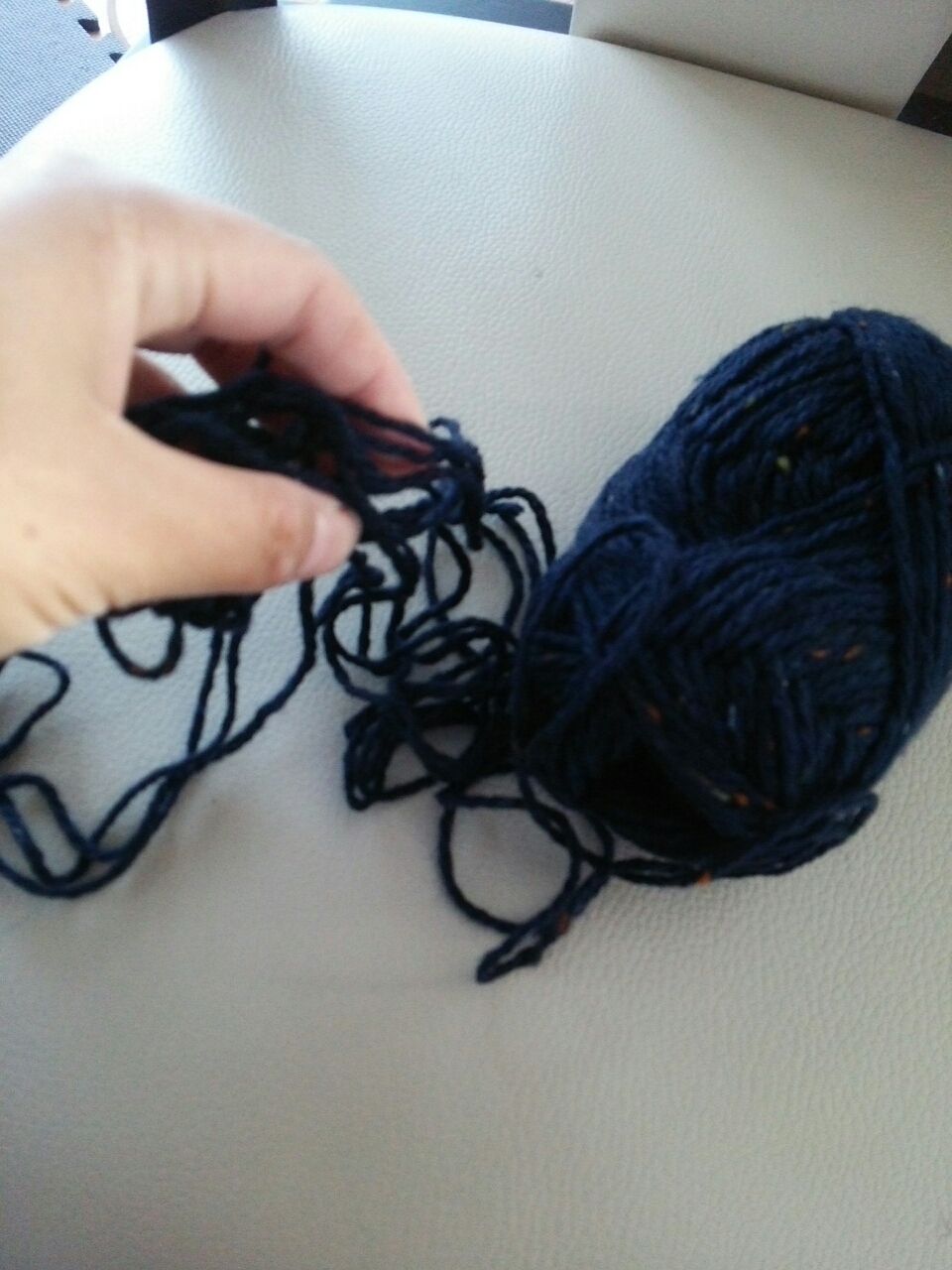 冬の寝床 凸凹めだか凸凹