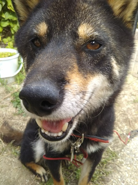 [画像:e123d2d9-s.jpg]