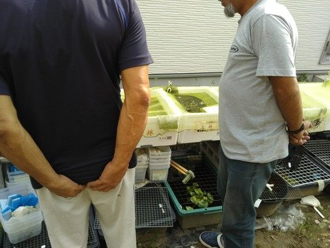 [画像:e12e70bb-s.jpg]