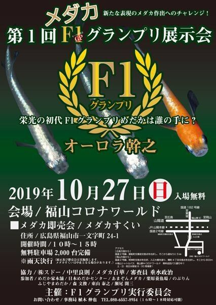 F1グランプリ 魚の協賛させていただきます 凸凹めだか凸凹 F1グランプリ 魚の協賛させていただきます 凸凹めだか凸凹